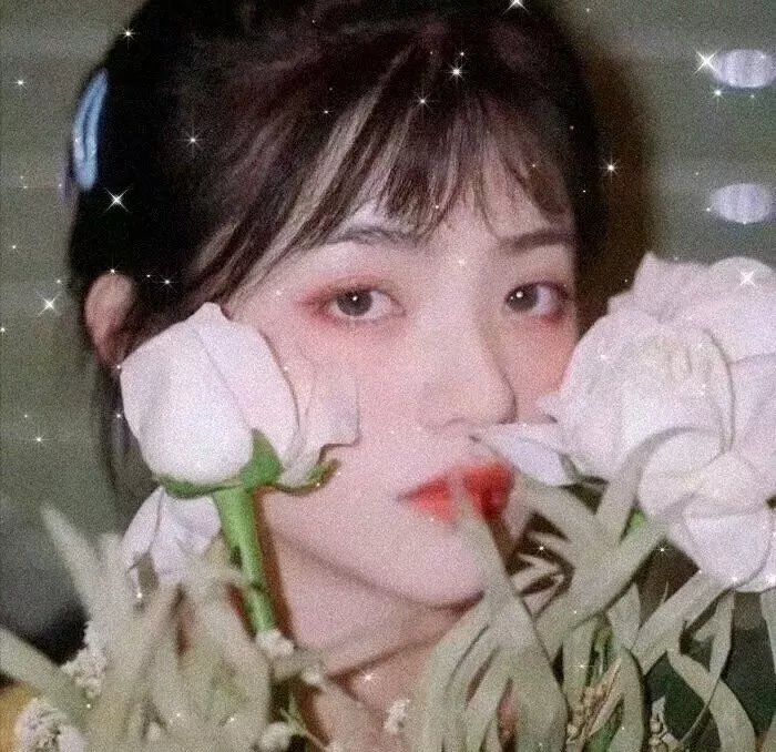 白昼妻子